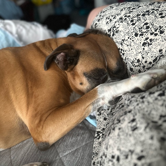 Meet your Posher, Sarah - Picture 1 of 1